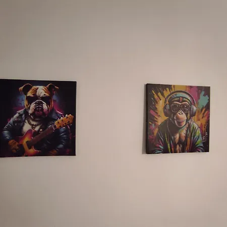 San Francisco 40m2 *