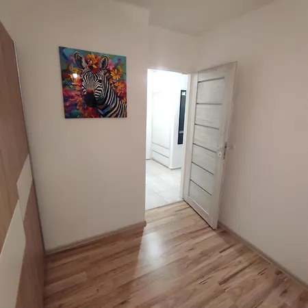 San Francisco 40m2 *