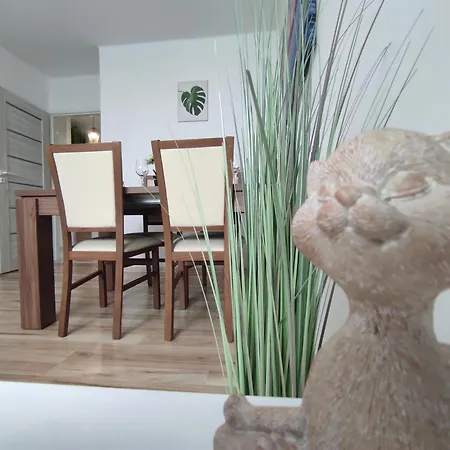 San Francisco 40m2 Rybnik (Silesia)